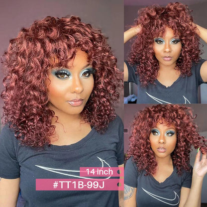 Jerry Curly Human Hair Wigs