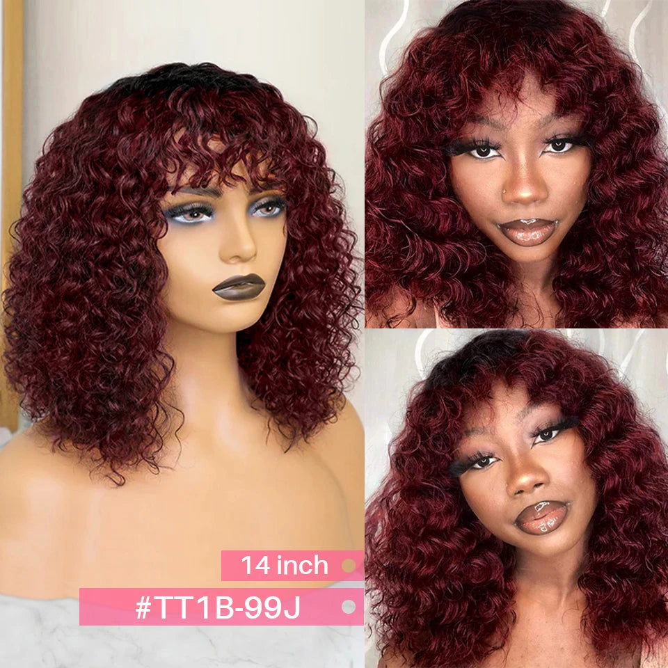 Jerry Curly Human Hair Wigs