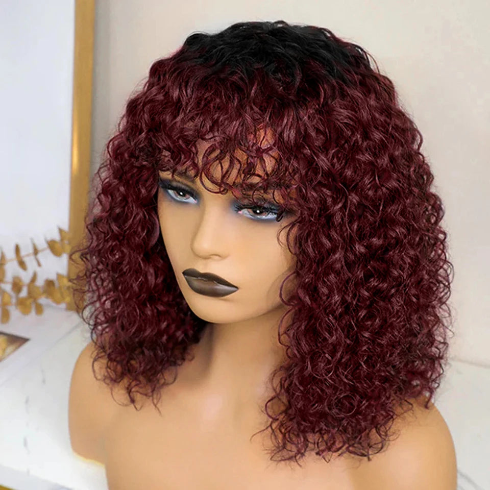 Jerry Curly Human Hair Wigs