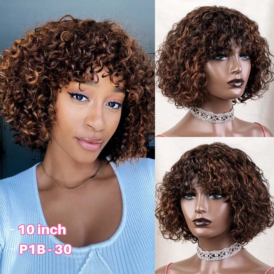 Jerry Curly Human Hair Wigs