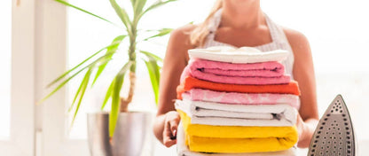 Electric Portable  Garment Steamer Steam Iron