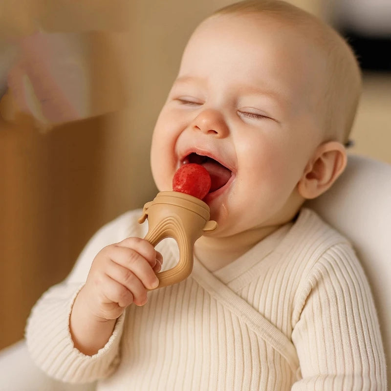 5 in 1 Baby Fruit Feeder with Nipple Set