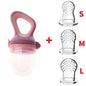 5 in 1 Baby Fruit Feeder with Nipple Set